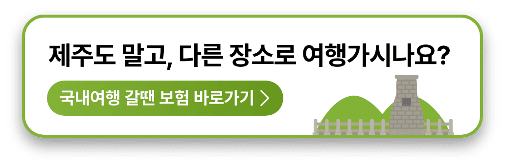 국내여행 갈땐 보험 바로가기
