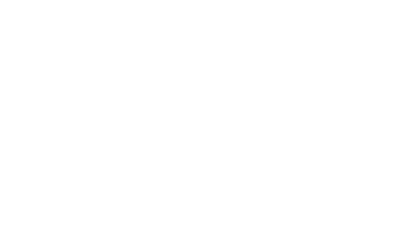 40%